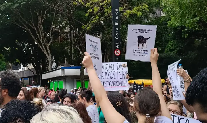 Centenas de pessoas em São Paulo pedem justiça pelo cão Orelha 