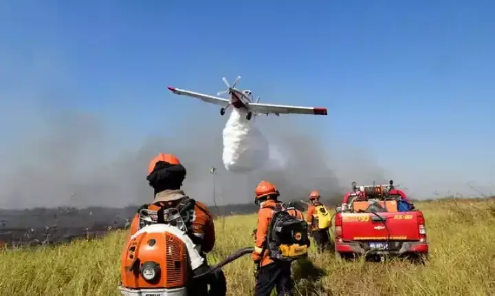 Ministério declara emergência ambiental no Pantanal de abril a dezembro