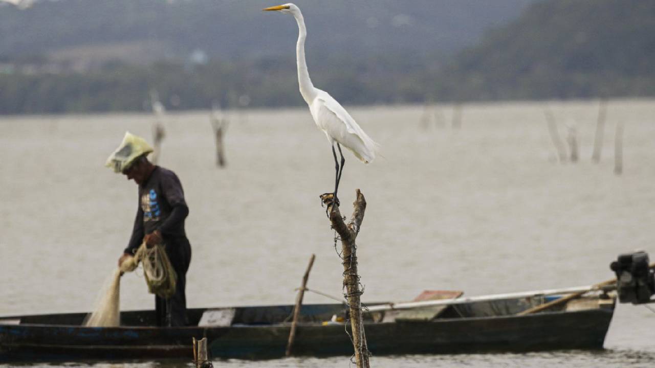 Mudanças aprovadas para o seguro-defeso previnem fraudes, diz relator