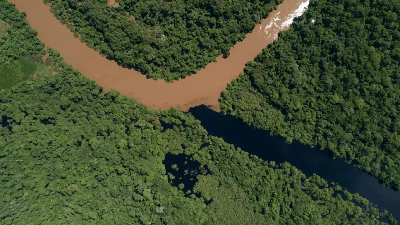 Rico em diversidade, Delta do Salobra pode virar refúgio da vida silvestre