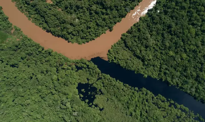 Rico em diversidade, Delta do Salobra pode virar refúgio da vida silvestre