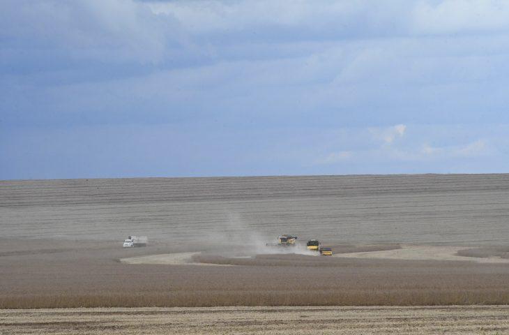 MS deverá produzir 14,6 milhões de toneladas de soja, volume 11,4% superior ao da safra passada