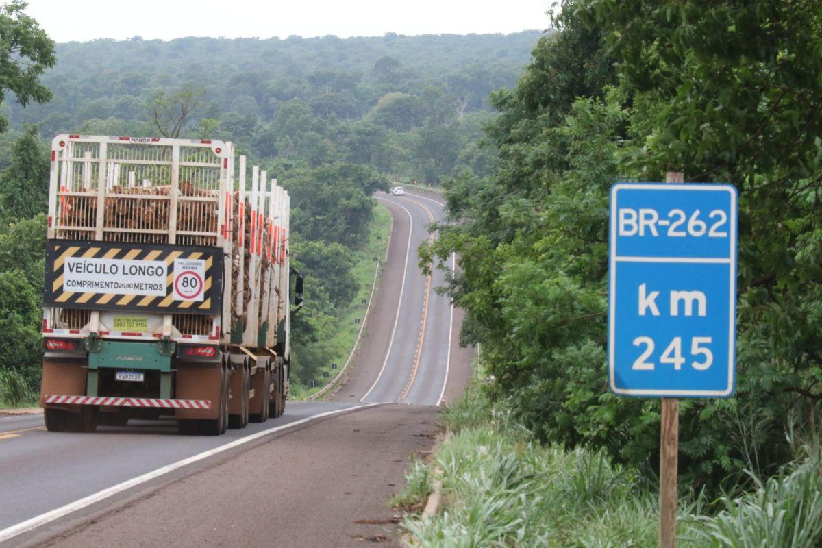 BR 262 terá pedágio e será administrada por Consórcio K&G; empresa venceu o leilão de concessão da rota de celulose