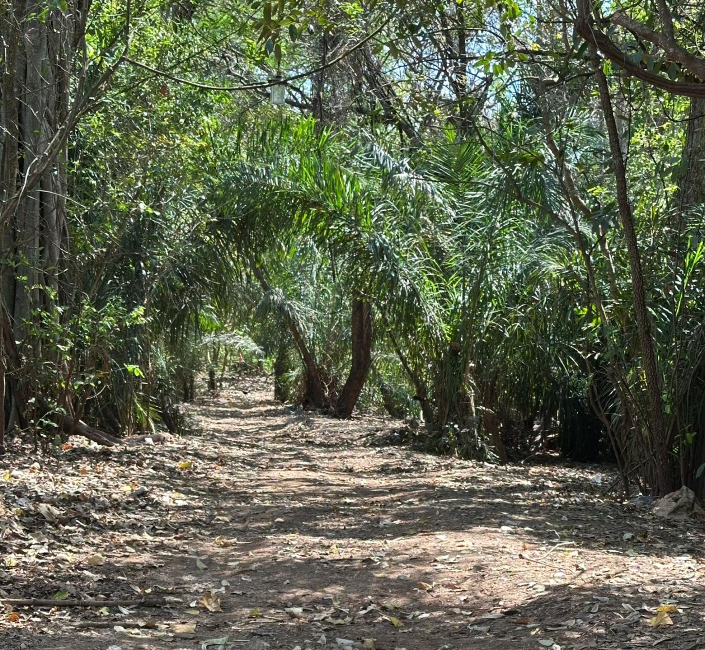Prefeitura de Bonito pede colaboração da população para preservar a Rota Boiadeira