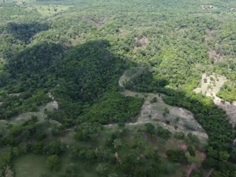 Fogo sem autorização atinge 112 hectares e gera multa de R$ 1 milhão, em Bonito